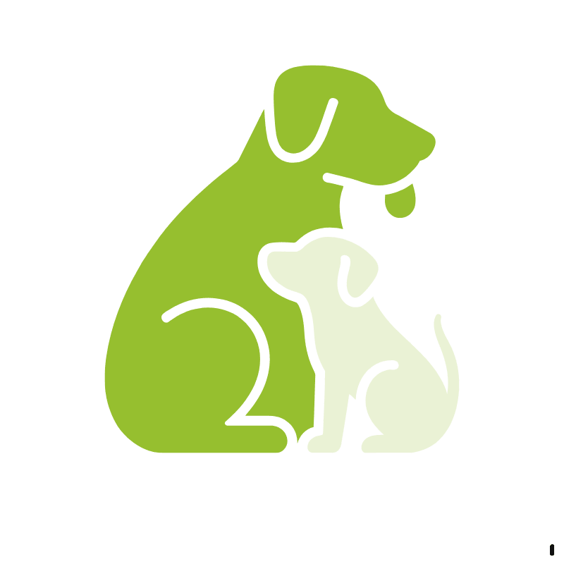 Pet Care consultation illustration